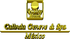 Click to go to Calinda Hotels WebSite